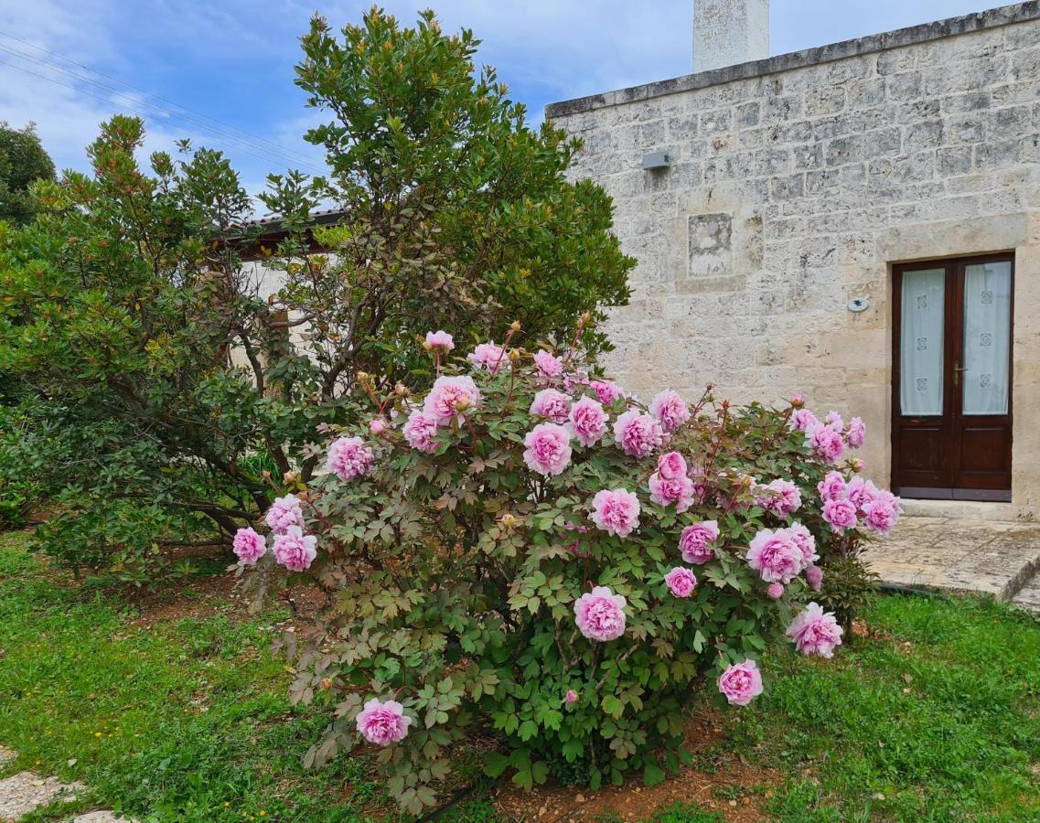 Masseria Montecchie Lägenhet Ceglie Messapica Exteriör bild