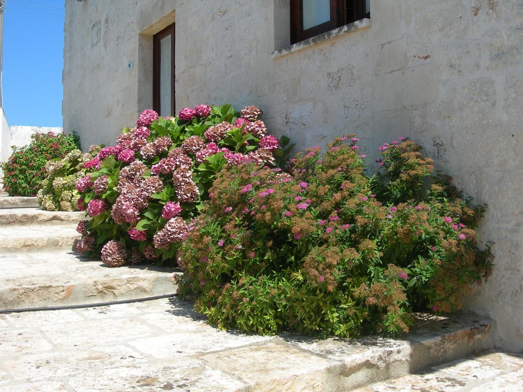 Masseria Montecchie Ceglie Messapica Exteriör bild
