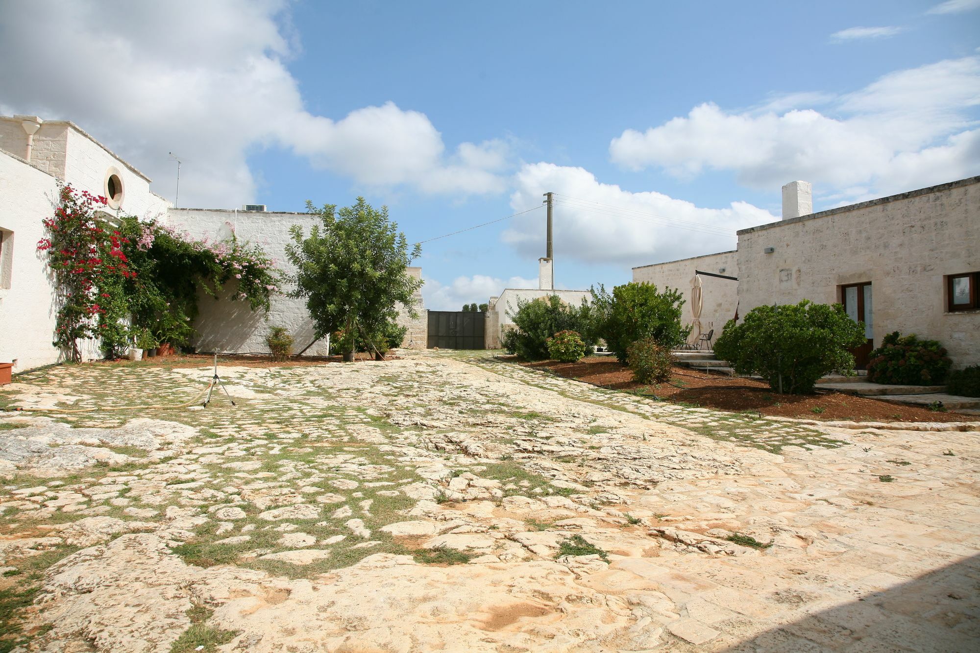Masseria Montecchie Ceglie Messapica Exteriör bild